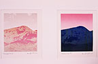 Mountain Views A/B (Diptych)